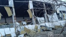 Двоє загиблих та 13 постраждалих – Синєгубов про наслідки ударів РФ