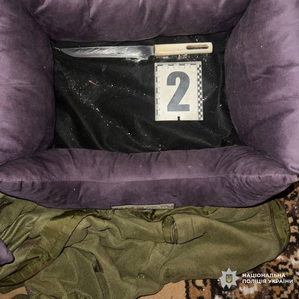 Жінка вбила свого співмешканця