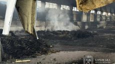 РФ атакует и гаражи и предприятия – Синегубов о последствиях «прилетов»