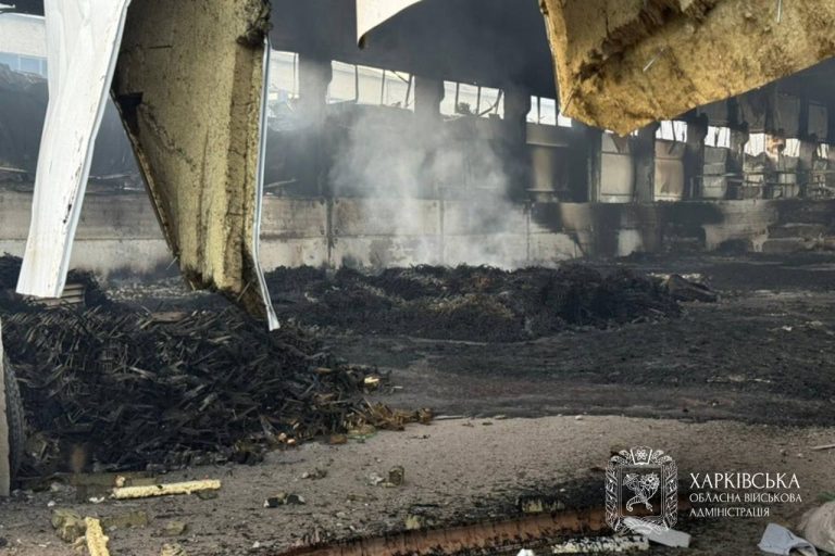 РФ атакует и гаражи и предприятия – Синегубов о последствиях «прилетов»