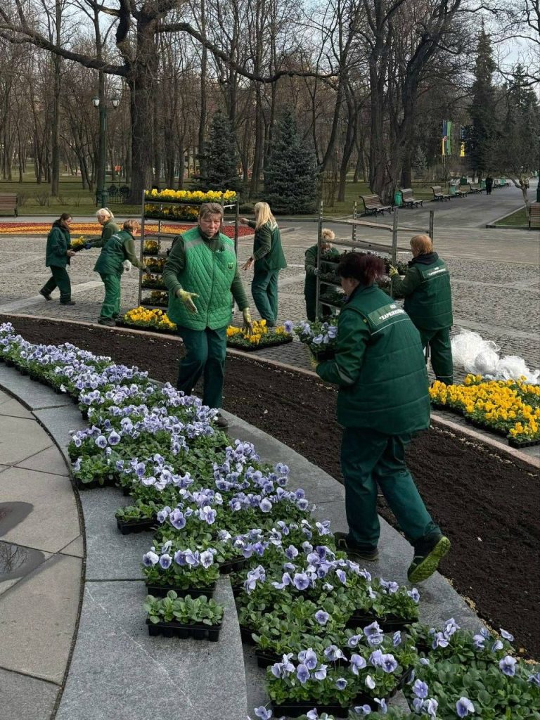 Клумба возле памятника Шевченко