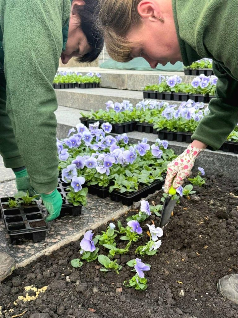 Клумба возле памятника Шевченко