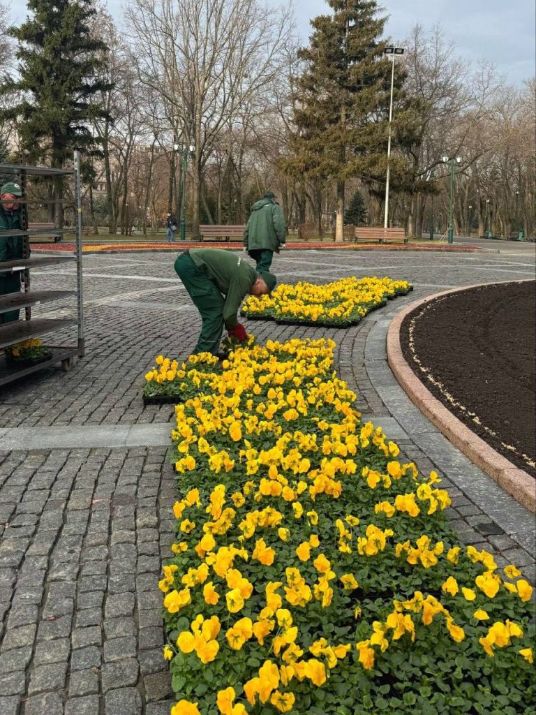 Клумба возле памятника Шевченко