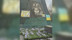 Клумба біля пам’ятника Шевченку в Харкові розквітає (фото)