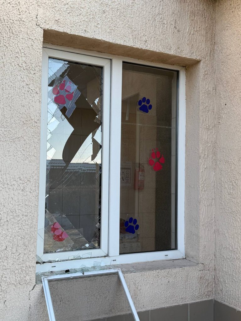 приліт до Центру поводження з тваринами вночі 5 березня 2026 3