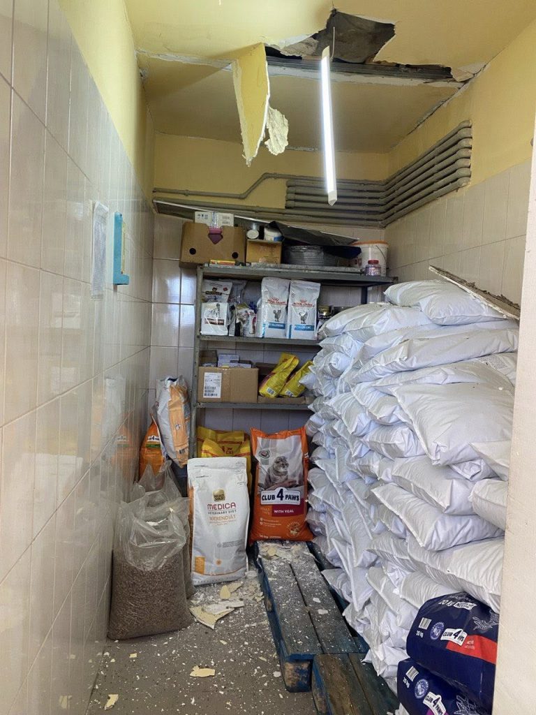 приліт до Центру поводження з тваринами вночі 5 березня 2026 2