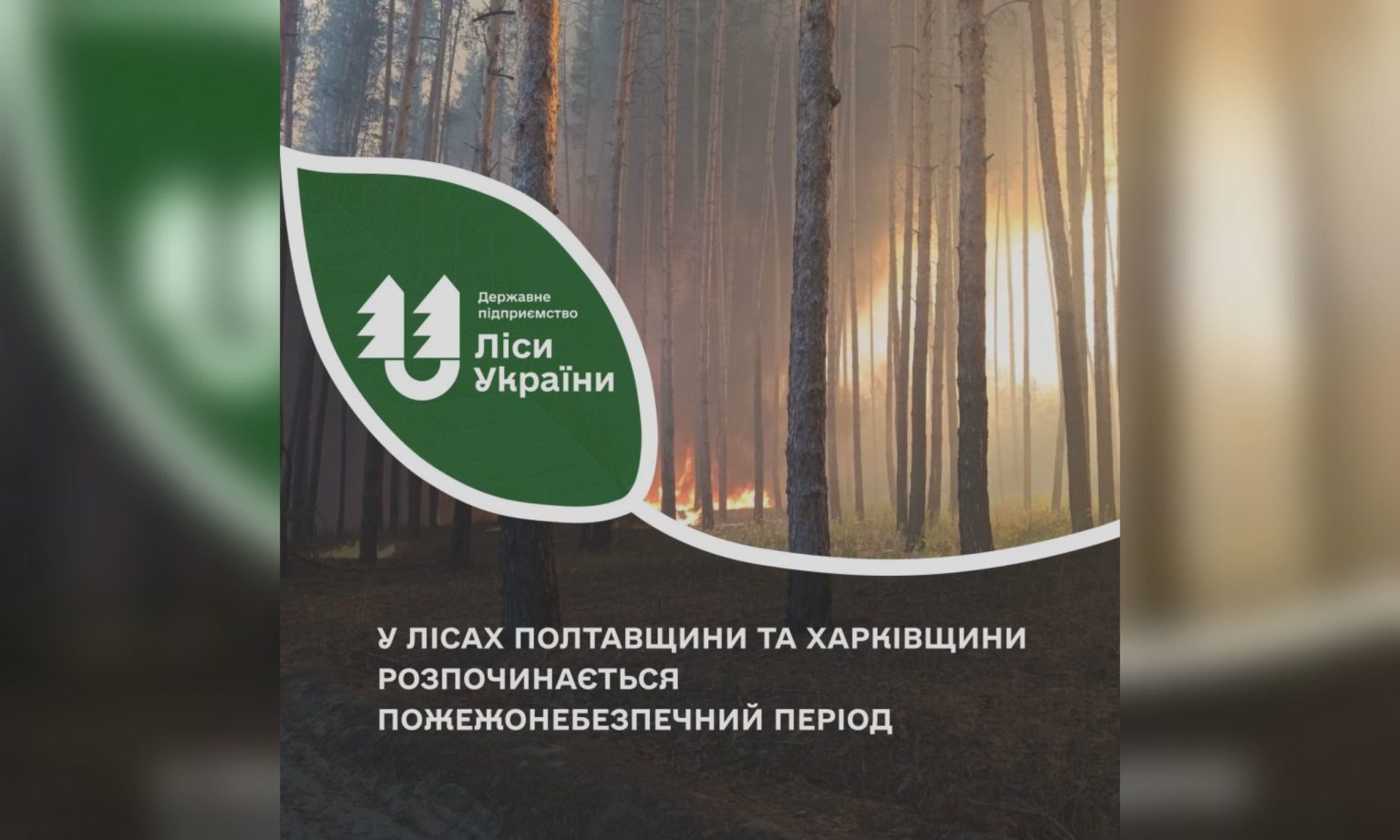 У лісах Харківщини посилили патрулювання: який період розпочинається