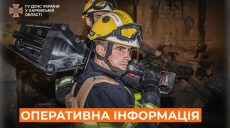 Горели ветки и камыш: жительница Солоницевской громады получила ожоги