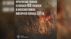 Поджигатели сухостоя «проснулись»: сколько было пожаров за неделю в регионе