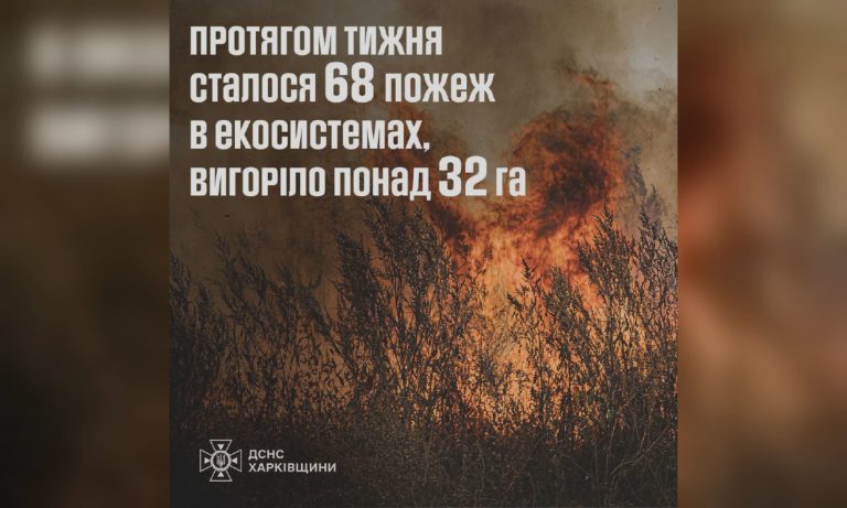 Поджигатели сухостоя проснулись на Харьковщине: сколько было пожаров за неделю