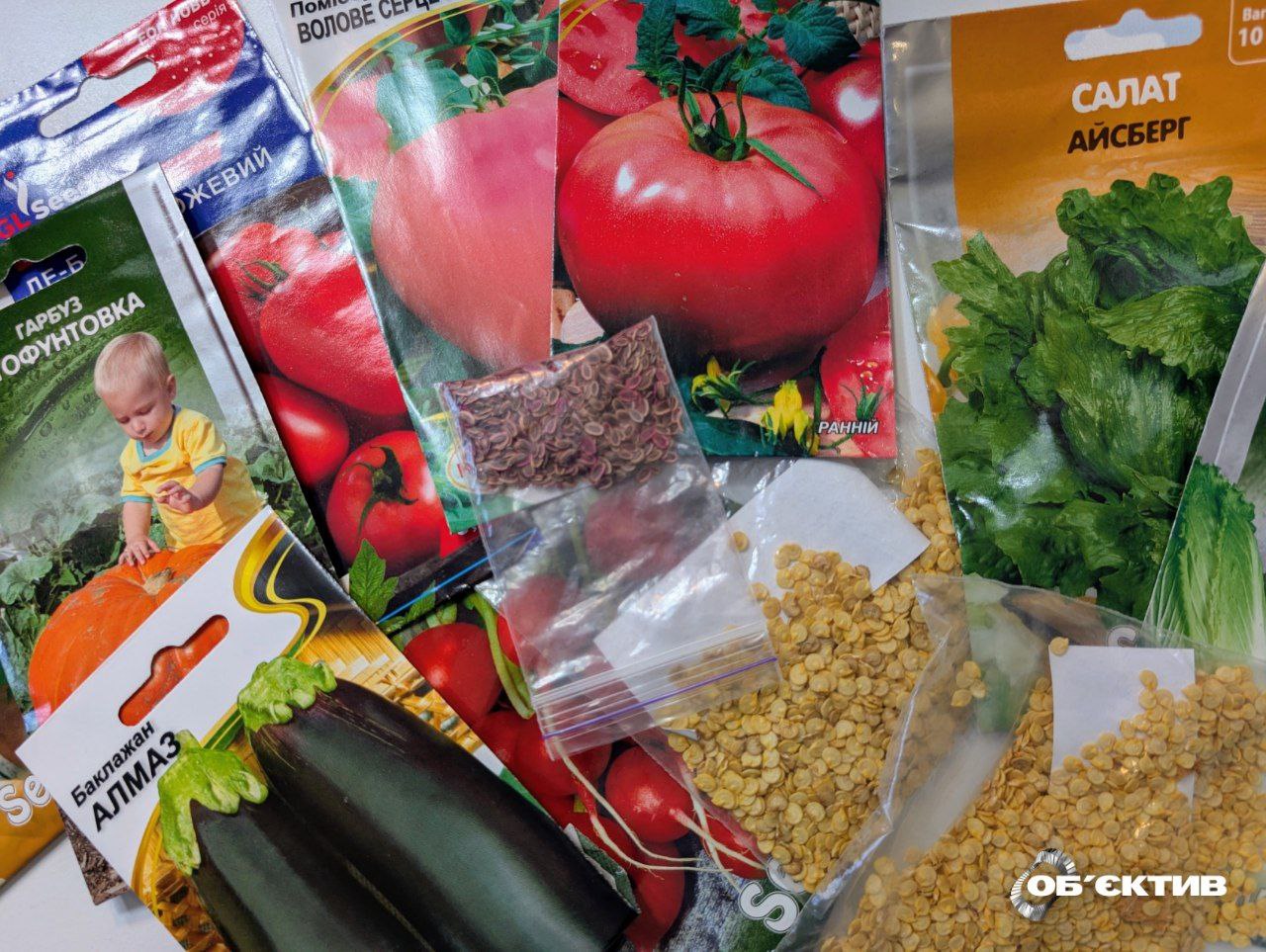 Скільки коштують насіння, ґрунт і горщики в Харкові: ціни повідомили в мерії