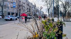 Малооблачно, до +15: прогноз погоды в Харькове и области на 11 марта