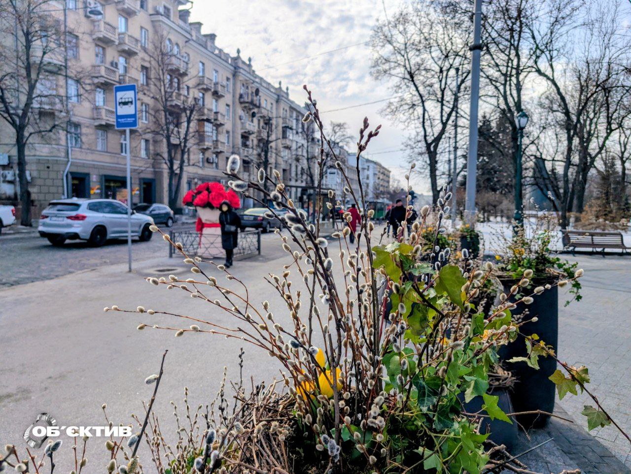 Малохмарно, до +15: прогноз погоди в Харкові та області на 11 березня