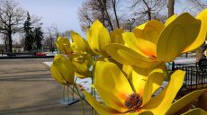 Пора прятать зимние куртки: в экопарке проснулись медведи – весна близко