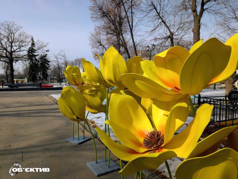Пора прятать зимние куртки: в экопарке проснулись медведи – весна близко