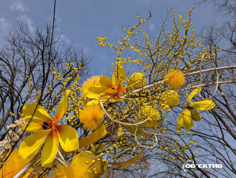 Максимум тепла перед похолоданием: погода в Харькове и области на 13 марта