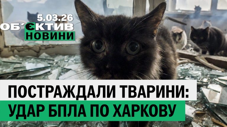 Постраждали тварини у Харкові; ліси Ізюмщини відновлять – підсумки 5 березня