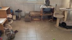 Ночная атака БпЛА: поврежден харьковский Центр обращения с животными (фото)