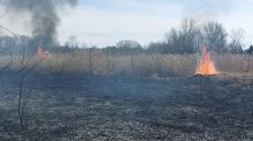 У центрі Дергачів сталася пожежа: Задоренко повідомив про підпал сухостою