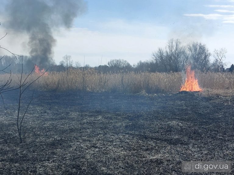 В центре Дергачев произошел пожар: Задоренко сообщил о поджоге сухостоя (фото)