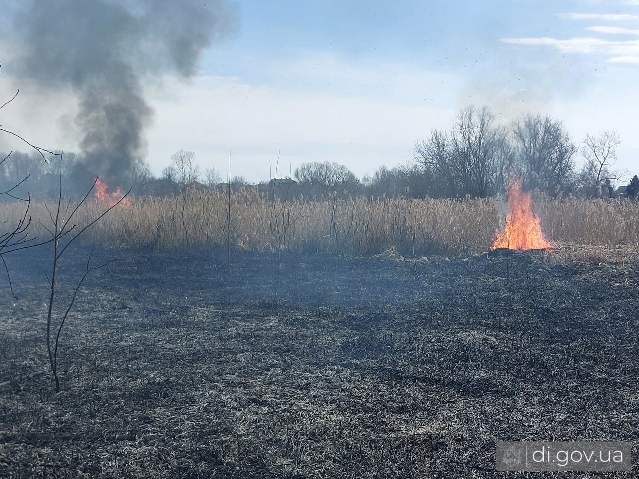 В центре Дергачев произошел пожар: Задоренко сообщил о поджоге сухостоя (фото)