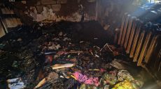 Смертельный пожар в Харьковском районе: ГСЧС сообщила подробности (фото)