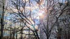 До 14 градусов тепла: прогноз погоды в Харькове и области на 10 марта