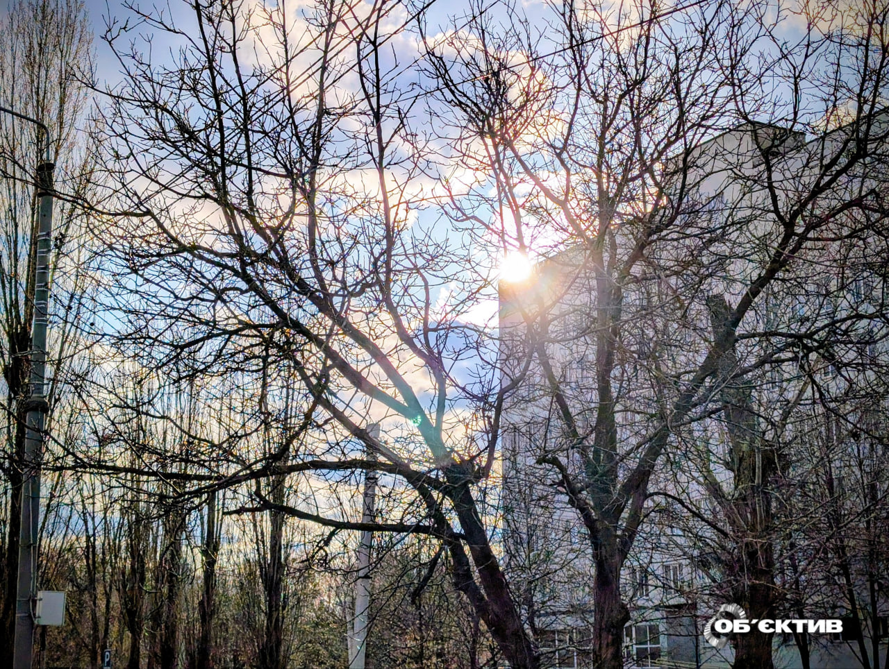 До 14 градусів тепла: прогноз погоди в Харкові та області на 10 березня