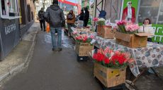 Якою буде погода в Харкові та області 8 березня – прогноз