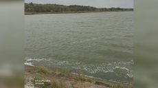 Водохранилище забрали у предприятия на Харьковщине по решению Верховного суда