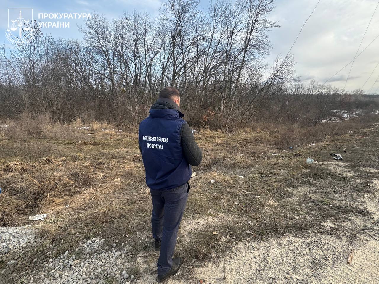 Лес на Харьковщине передали в частную собственность — дело уже в суде