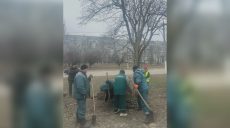 Стартувало весняне озеленення Салтівського району: які дерева висаджують
