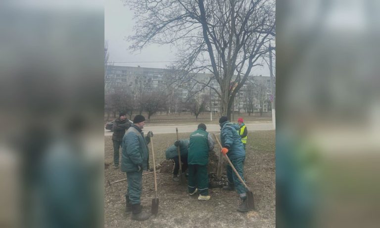 Стартовало весеннее озеленение Салтовского района: какие деревья высаживают