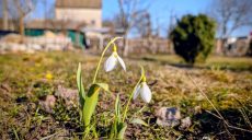 Ночью еще морозно, днем — до +13: погода по Харькову и области на 23 марта