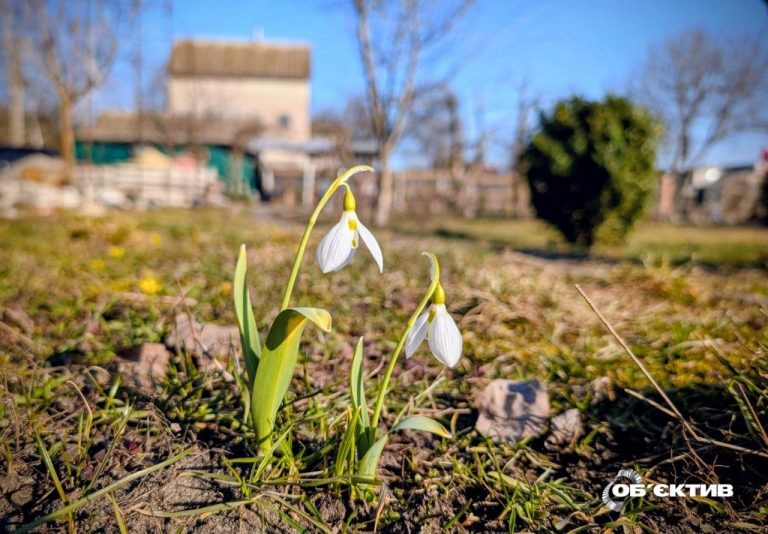 Вночі ще морозно, вдень — до +13: погода по Харкову та області на 23 березня