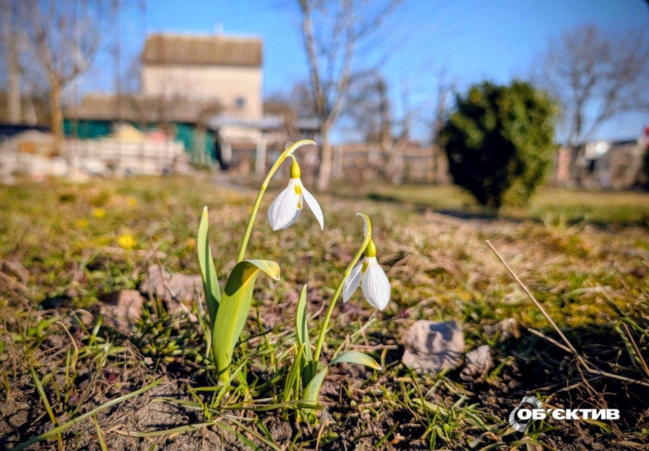 Ночью еще морозно, днем — до +13: погода по Харькову и области на 23 марта