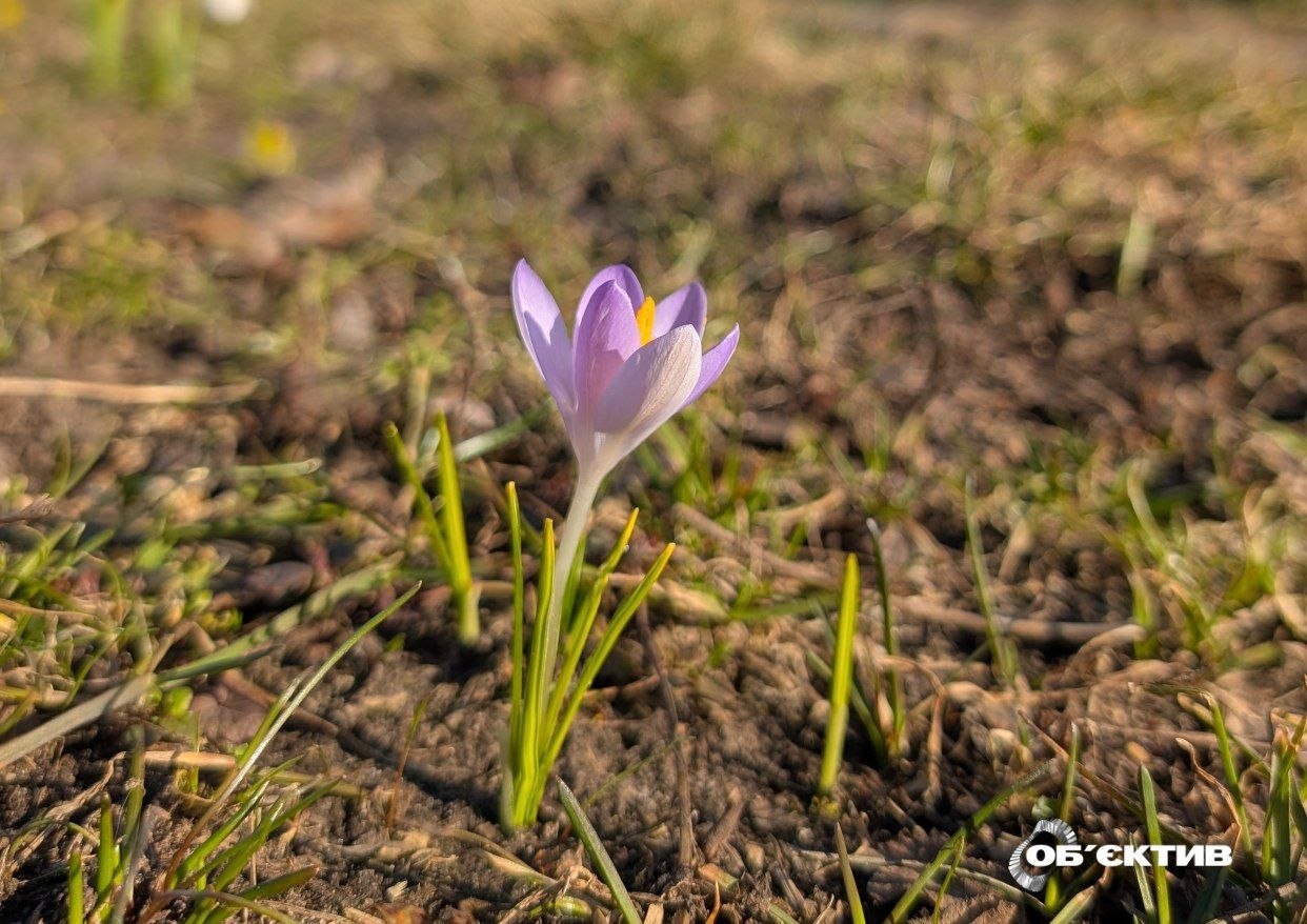 Потепление — скоро: прогноз погоды в Харькове и области на 24 марта