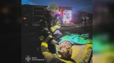 Двух собак спасли из охваченного огнем дома в Харькове (видео)