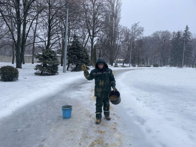 Парки Харькова подвели итоги зимы: данные от коммунальщиков
