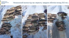 Рыбы более чем на 250 тысяч грн наловили браконьеры на Харьковщине
