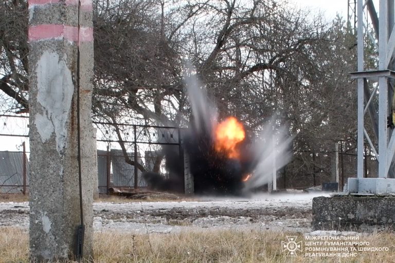 2 міни, що скинув російський БпЛА, знищили сапери на Харківщині (фото)