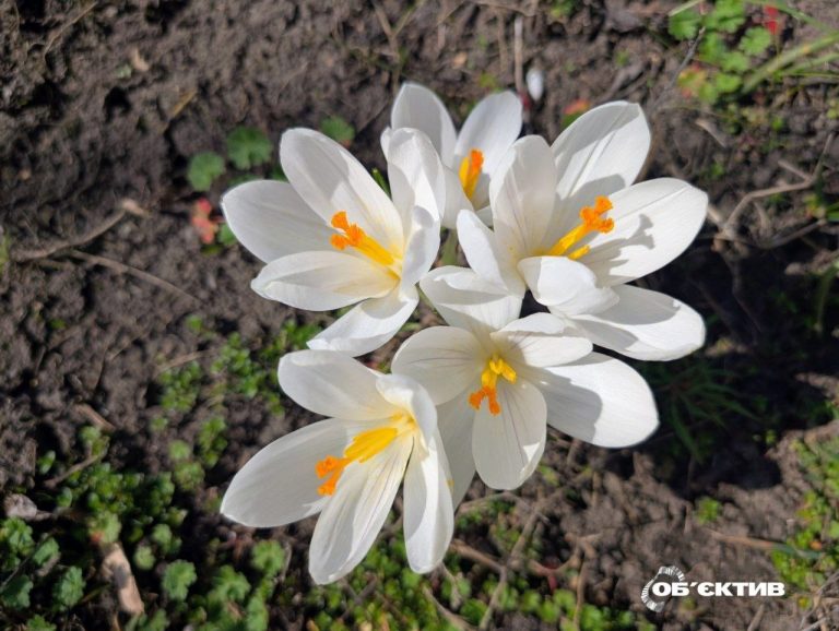 Какой будет погода в воскресенье: прогноз по Харькову и области на 5 апреля