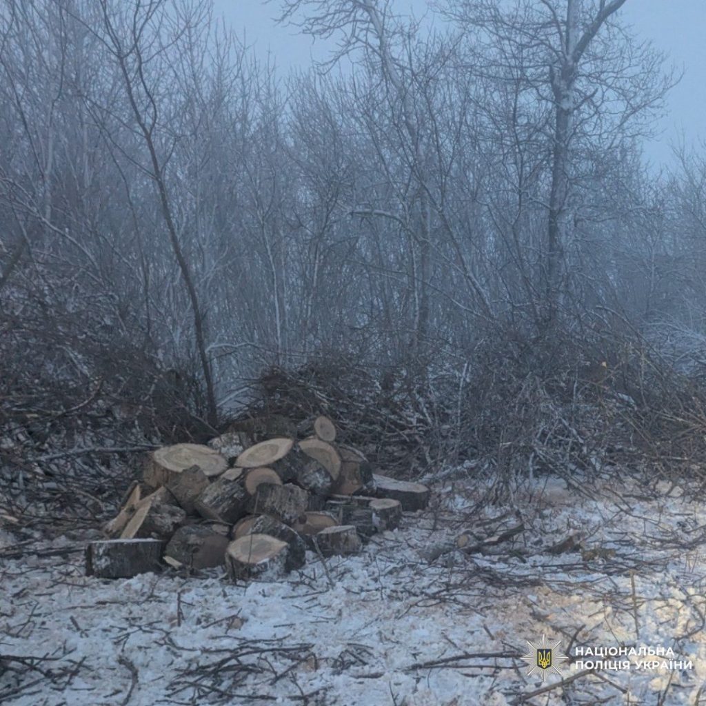 деревья спилили на Харьковщине