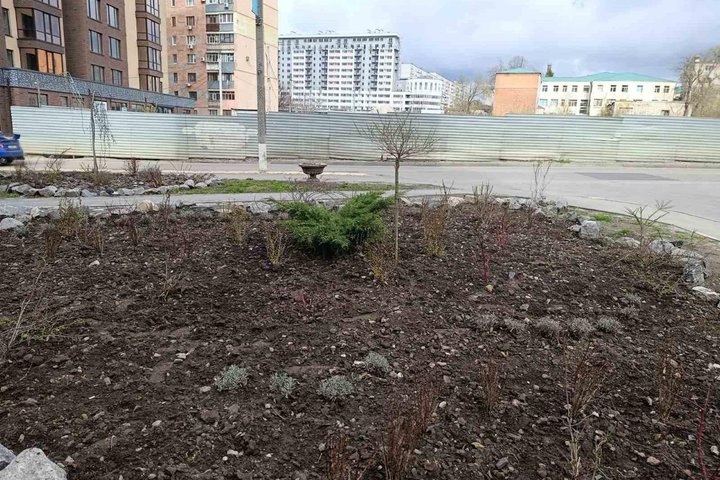 Пропали сосны, виолы и тюльпаны: о кражах с клумб заявили в Харькове