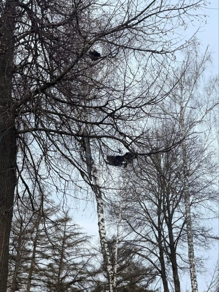 Обстріл Центрального парку 3 квітня