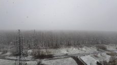 В Харькове 10 апреля пошел снег (фото, видео)