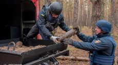 Неожиданная находка: ГСЧС обезвредила снаряды времен Второй мировой
