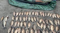 Браконьеры наловили на Харьковщине рыбы на 114 тысяч гривен: копы поймали их