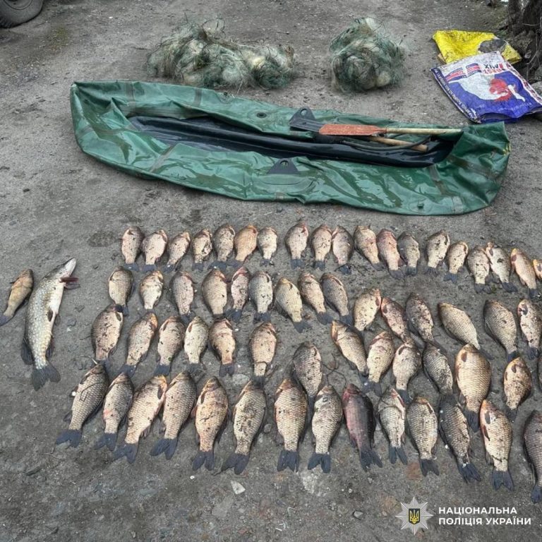 Браконьеры наловили на Харьковщине рыбы на 114 тысяч гривен: копы поймали их