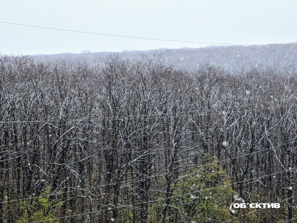 Сніг 24 квітня у Харкові